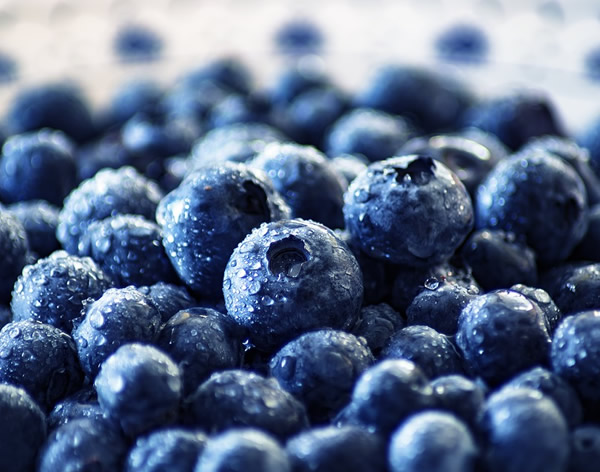 冷凍藍莓，一個被嚴重低估的產品